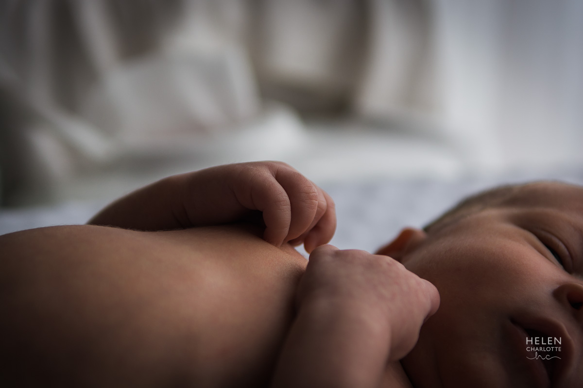 Helen Charlotte Photos | Caleb At Home Session