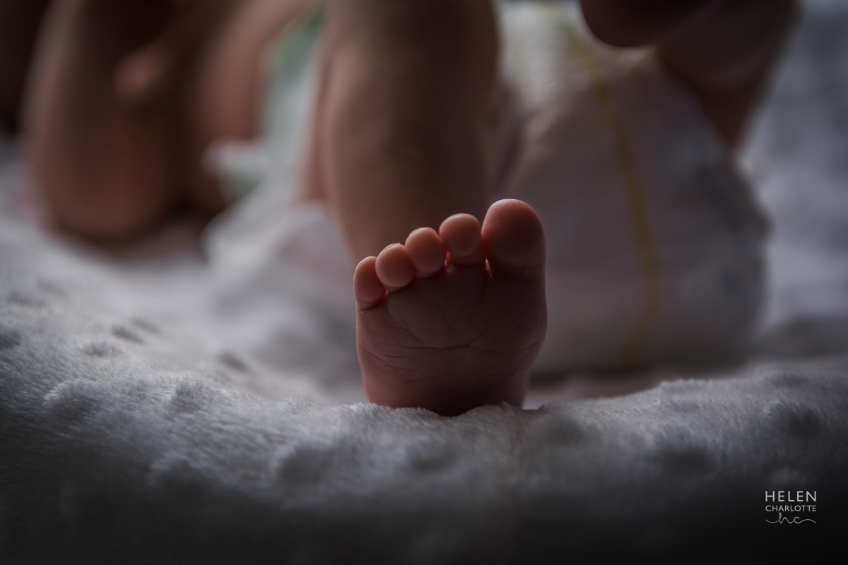 Helen Charlotte Photos | Caleb At Home Session