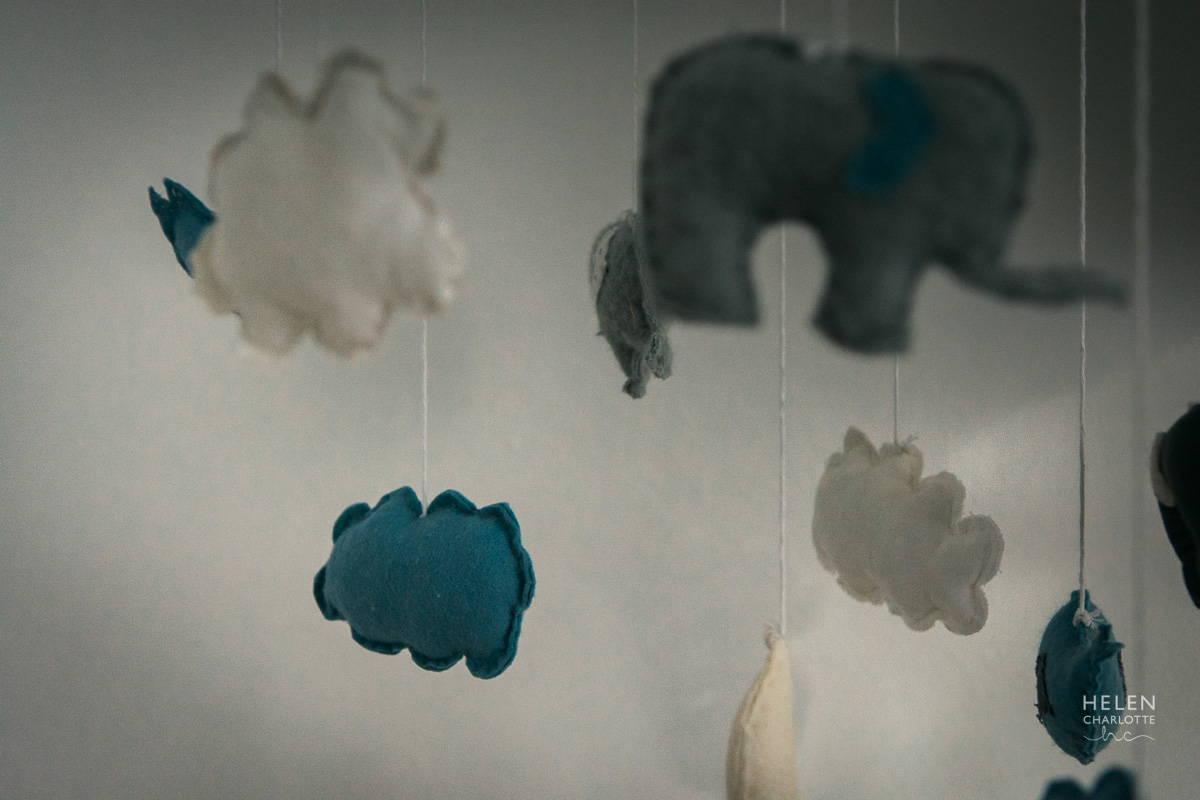 Helen Charlotte Photos | Caleb At Home Session