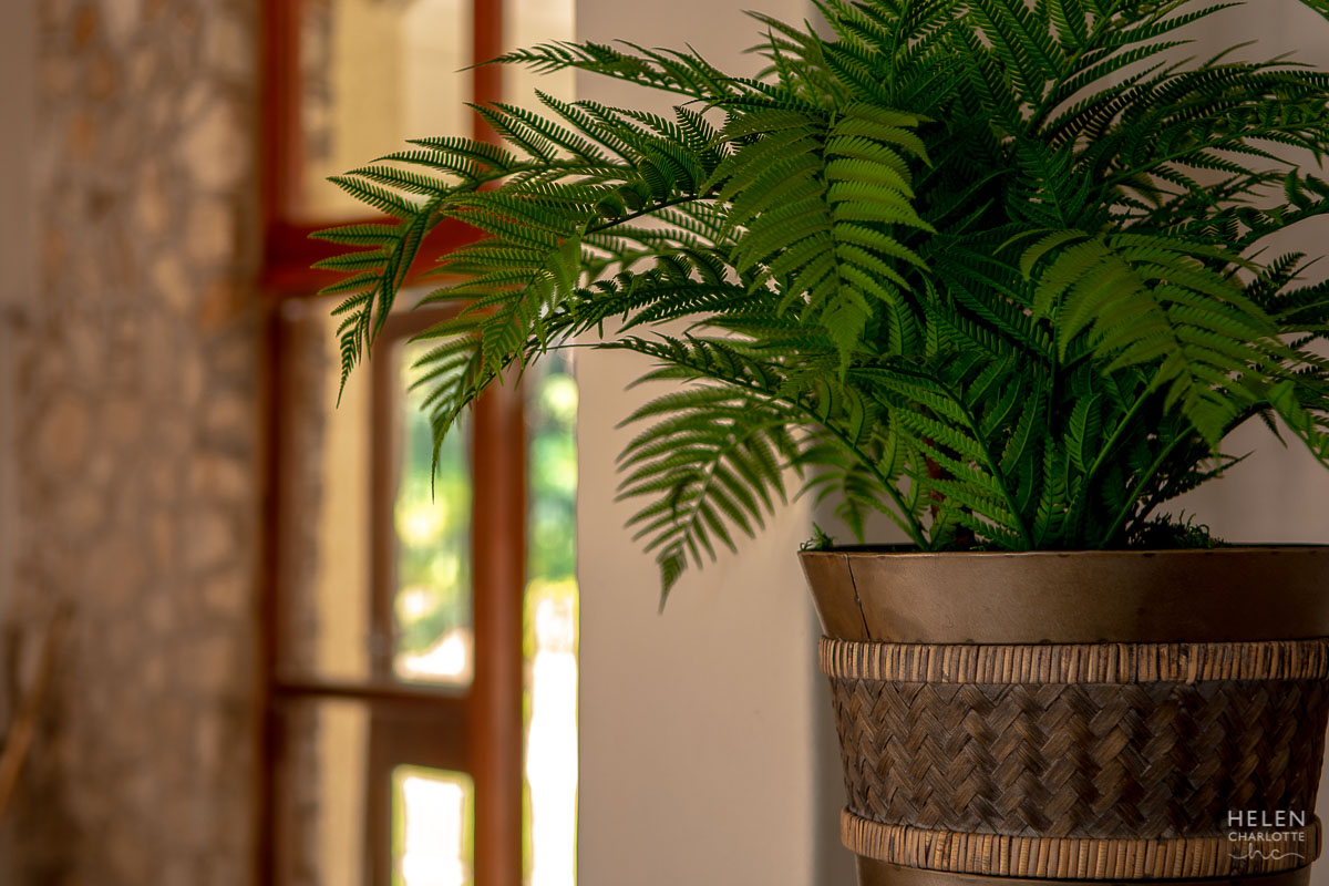 Helen Charlotte Photos | Aberfoyle Lodge Honde Valley Helen Charlotte Photos | Aberfoyle Lodge Honde Valley