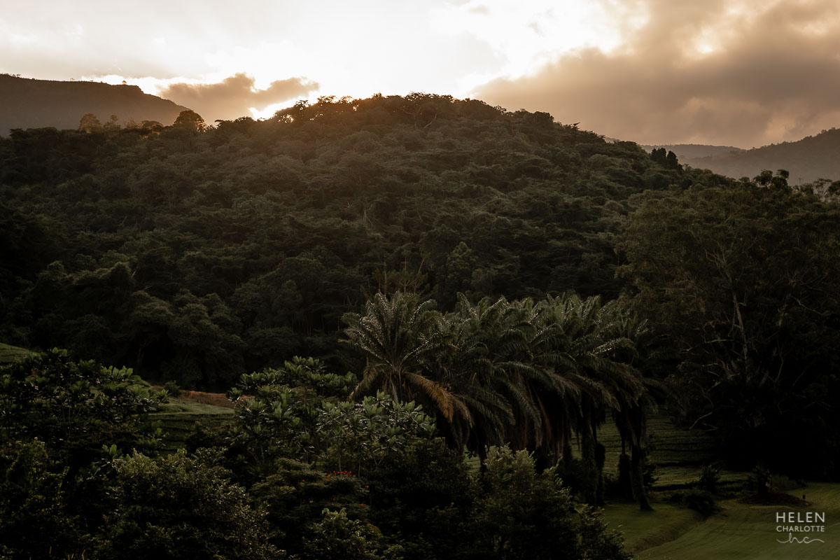 Helen Charlotte Photos | Aberfoyle Lodge Honde Valley Helen Charlotte Photos | Aberfoyle Lodge Honde Valley