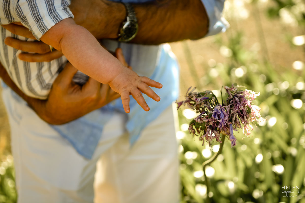 Helen Charlotte Photos | The Palmers | Groot Constantia Family Shoot