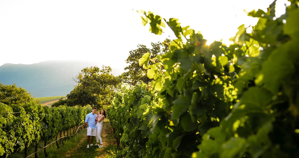Helen Charlotte Photos | The Palmers | Groot Constantia Family Shoot