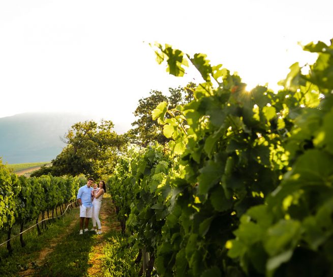 Helen Charlotte Photos | The Palmers | Groot Constantia Family Shoot