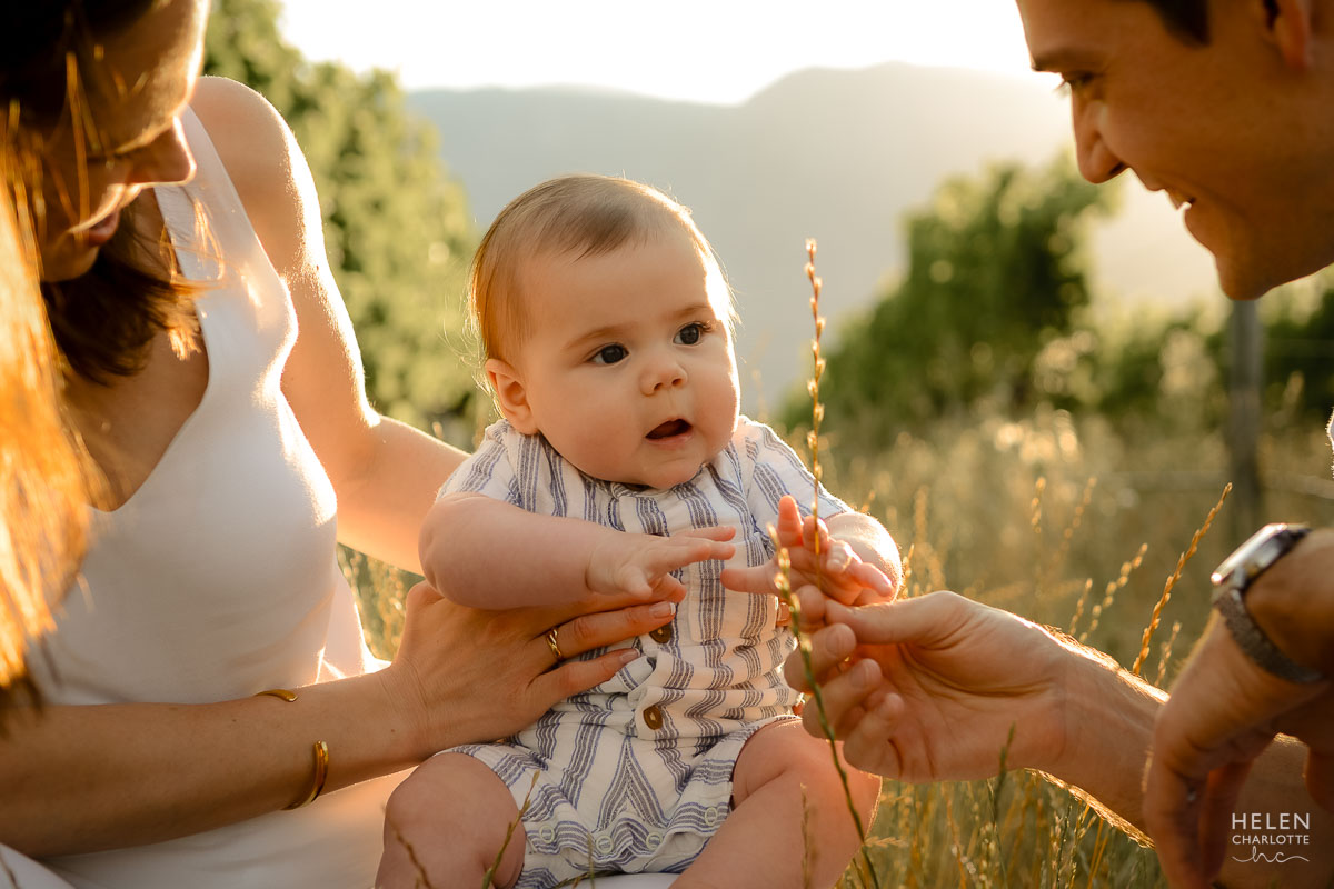 Helen Charlotte Photos | The Palmers | Groot Constantia Family Shoot
