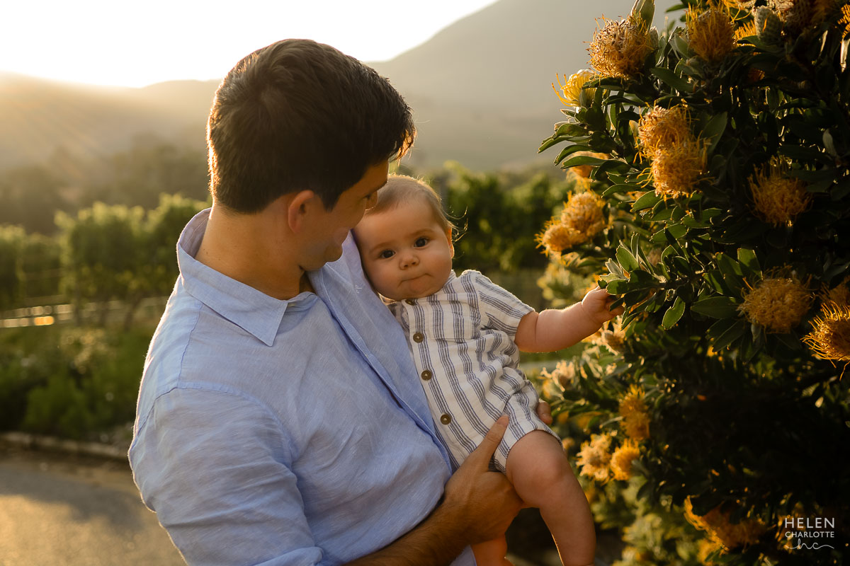 Helen Charlotte Photos | The Palmers | Groot Constantia Family Shoot
